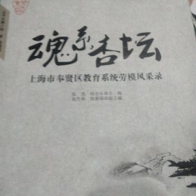 魂系杏坛 : 上海市奉贤区教育系统劳模风采录