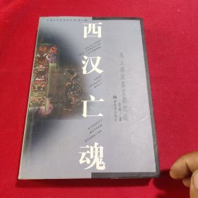 中国文化史探秘丛书(第二辑)-西汉亡魂