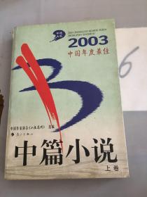 2003中国年度最佳中篇小说（上卷）。。