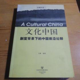 文化中国：剧变背景下的中国前沿论变——边缘对话  312页