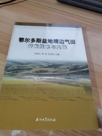 鄂尔多斯盆地靖边气田开发技术与实践