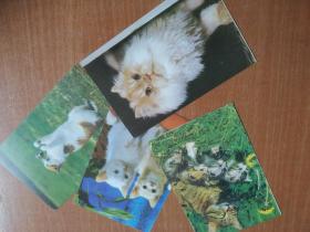 1980年代空白明信片4张，动物