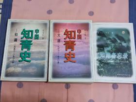 中国知青史：《初澜》《大潮》+知青备忘录 3册合售
