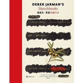 预定，6月底发货，时尚文化丛书  德里克·贾曼的速写本  DEREK JARMAN’S Skectchbooks （英）史蒂芬·法辛等编著  重庆大学出版社