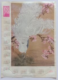 年历画挂历单张 1981年孔雀樱花 刘庸作 (四开)