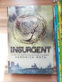 Divergent Series Complete Four-Book Boxset [Hardcover]《分歧者》四册精装