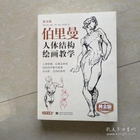 伯里曼人体结构绘画教学