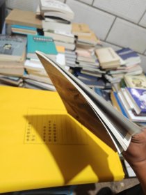 中国画技法：彩墨荷花画法