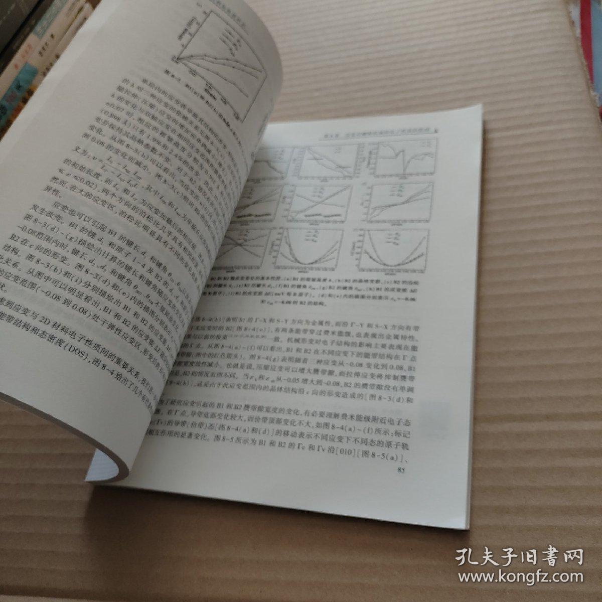 二维材料的性质研究