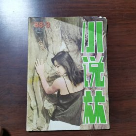 小说林 1988年 第3期