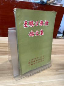王鹏万教授论文集