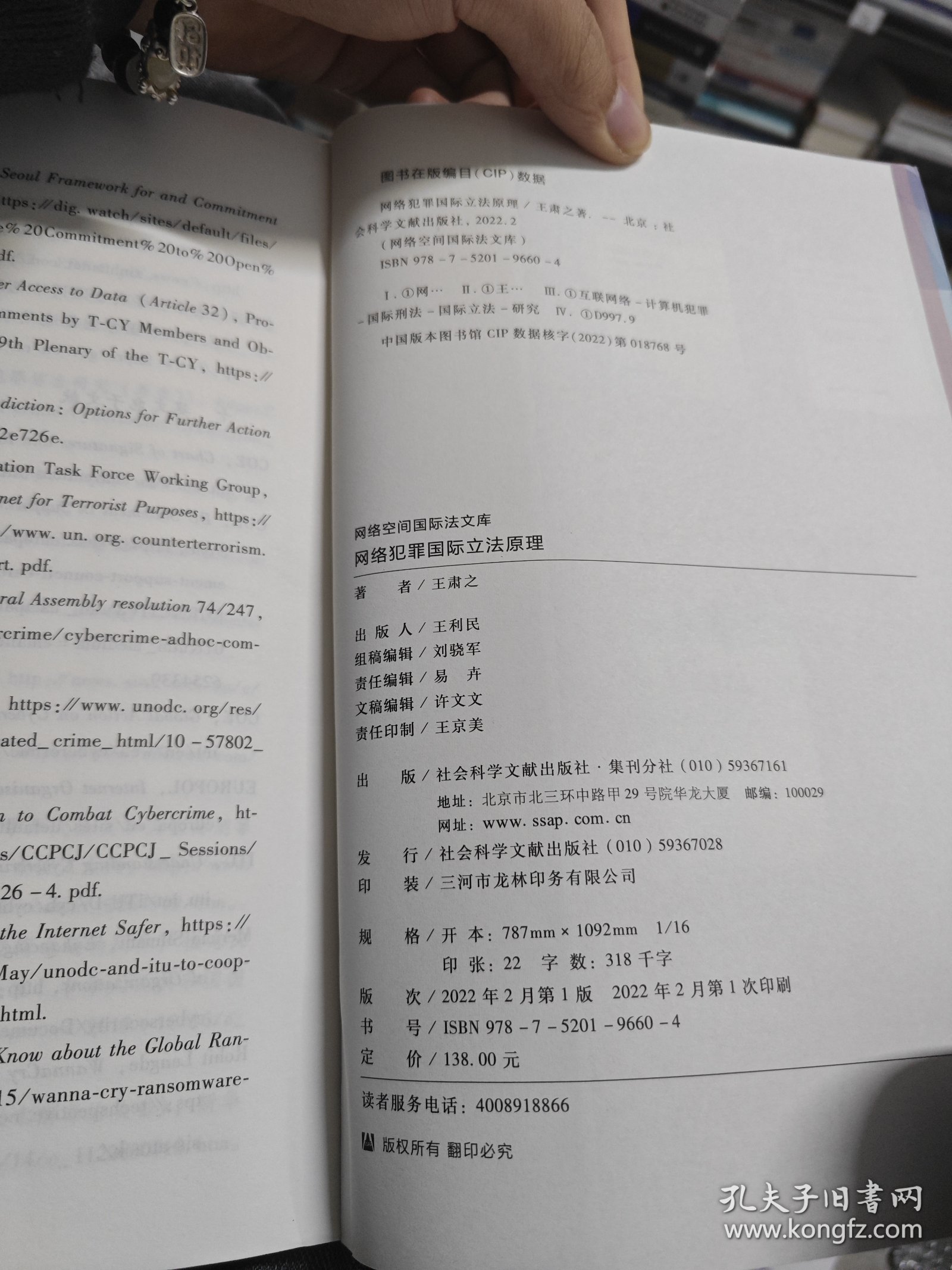 网络犯罪国际立法原理/网络空间国际法文库