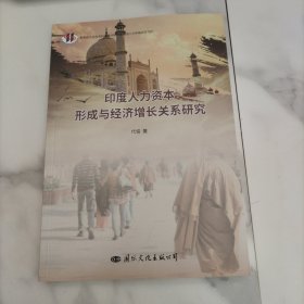 印度人力资本形成与经济增长关系研究