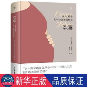 欢喜：女性、革命和一个逝去的男孩（诺贝尔文学奖热门提名作家女性主义作品）