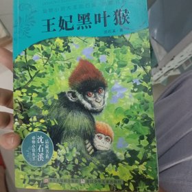 动物小说大王沈石溪：王妃黑叶猴