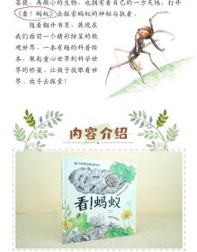 全新正版 看蚂蚁(精)/家门外的自然课系列 孙煜尧 9787533199456 山东科学技术出版社