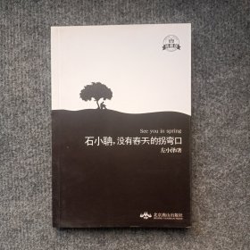 石小聃，没有春天的拐弯口