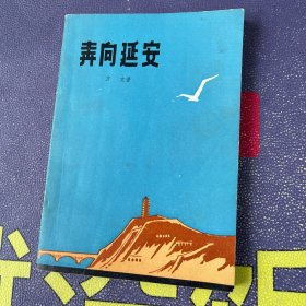 奔向延安