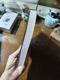 山的那一边：被俘德国将领谈二战