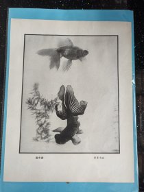七十年代出版印刷《画中游》画页
