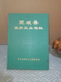 宣威县轻手工业局志