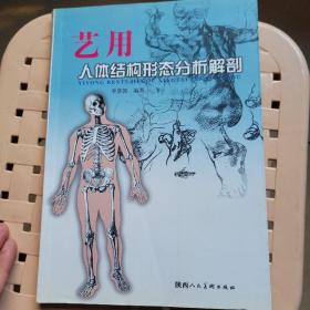 艺用人体结构形态分析解剖