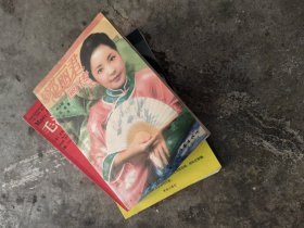 邓丽君画传