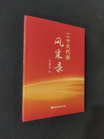 二十大代表风采录