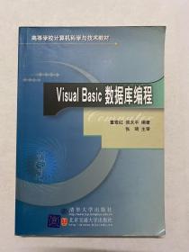 Visual Basic数据库编程