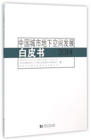 中国城市地下空间发展白皮书（2014）