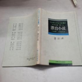 漂泊小说