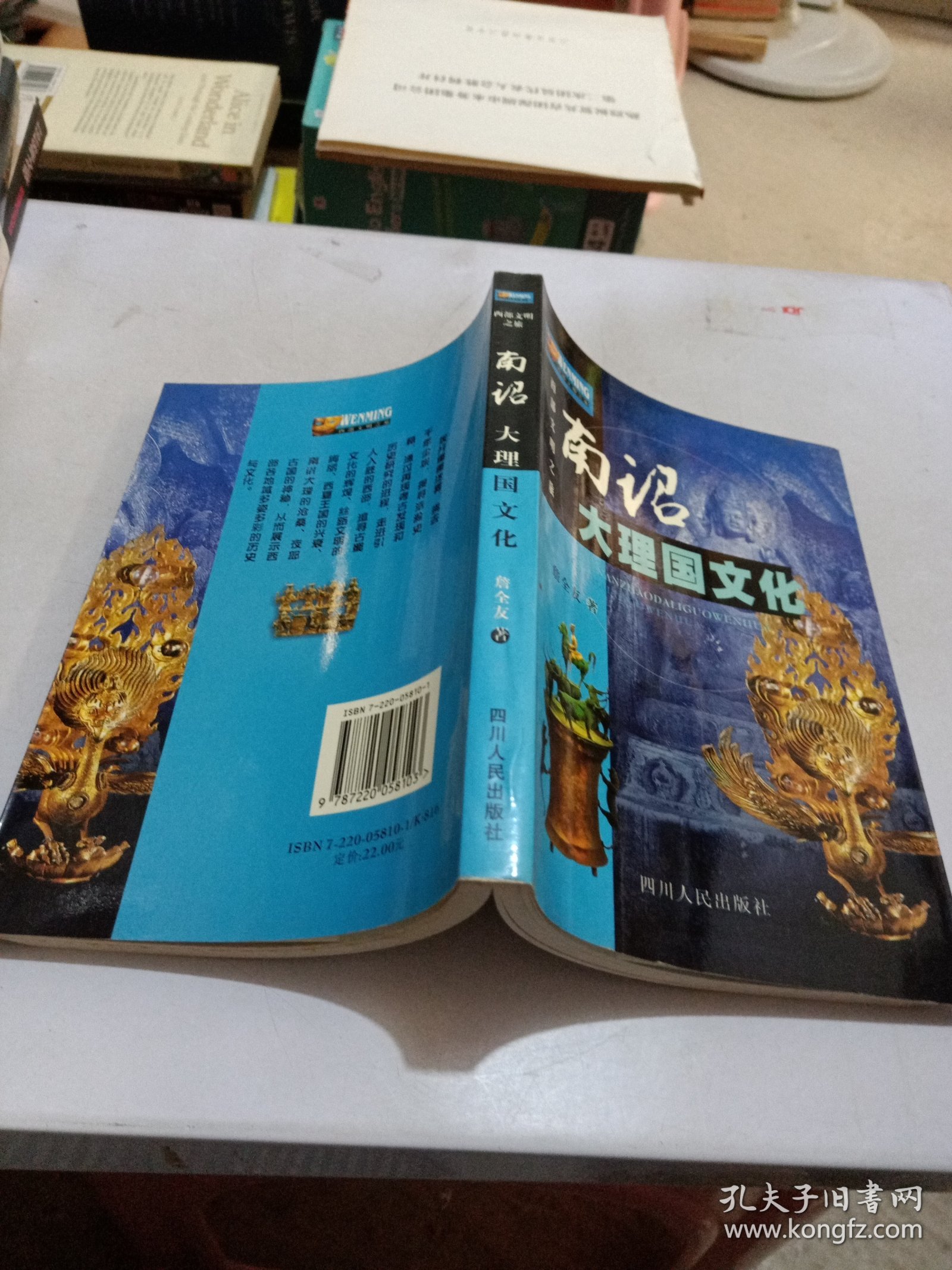 南诏大理国文化