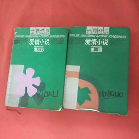 世界经典爱情小说美国意大利