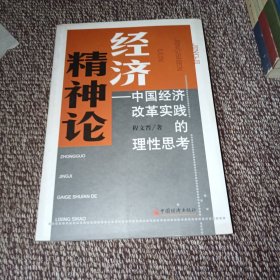 经济精神论:中国经济改革实践的理性思考