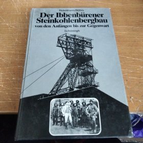 Der Ibbenbürener Steinkohlenbergbau von den Anfängen bis zur Gegenwart煤炭开采