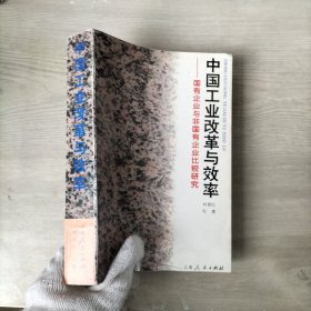 中國工業(yè)改革與效率:國有企業(yè)與非國有企業(yè)比較研究