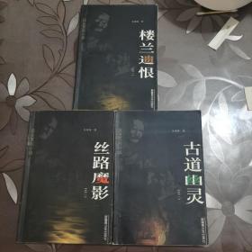 歷史系列小說(shuō)
西域大盜之一 二 三