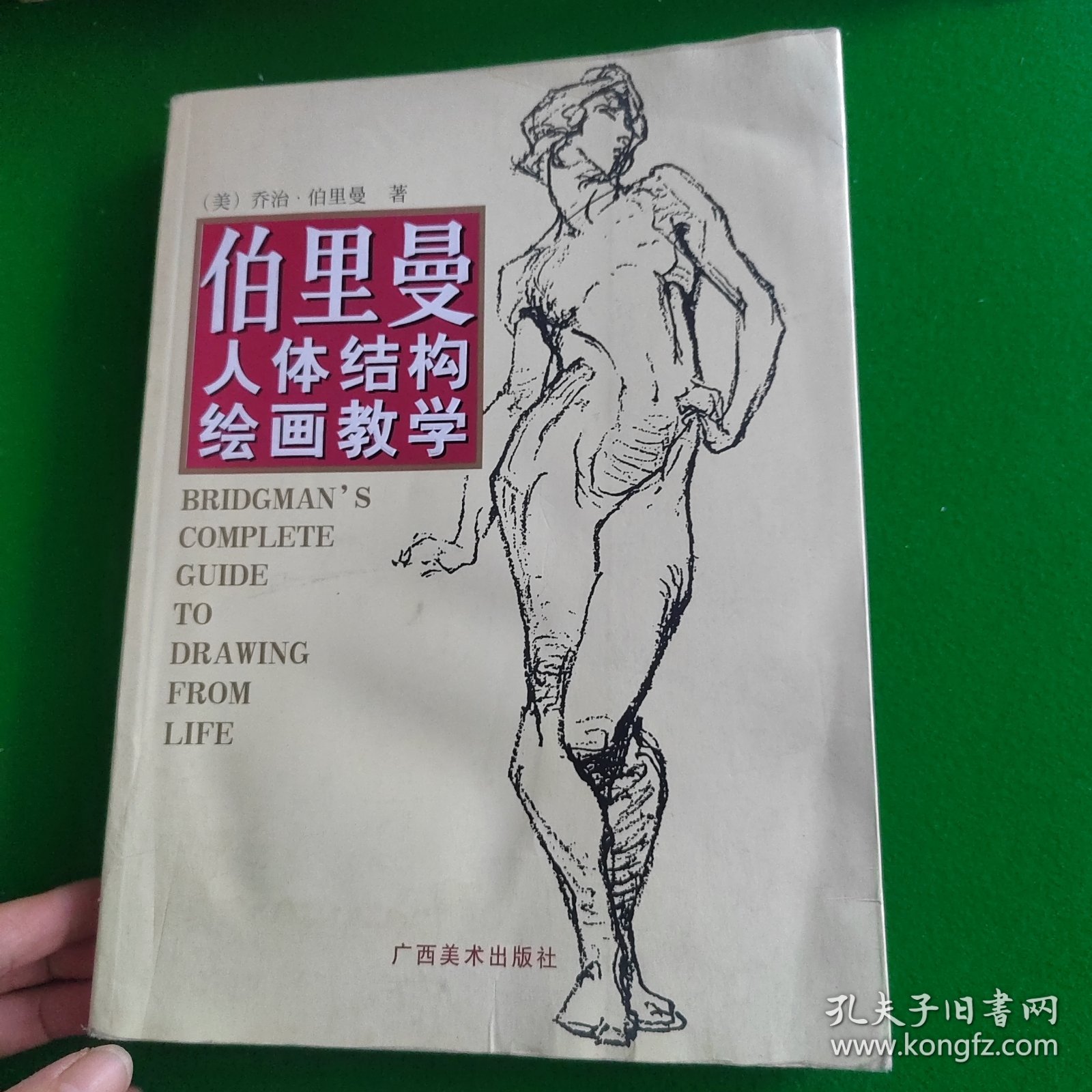 伯里曼人体结构绘画教学