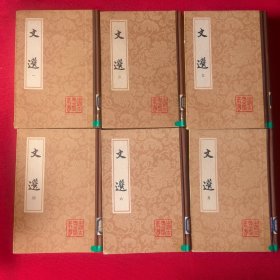 文选 （全六册 1986年一版一印 硬精装 中国古典文学丛书 ）