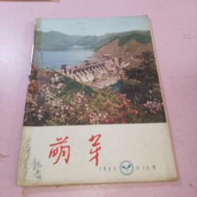 萌芽1965年10期