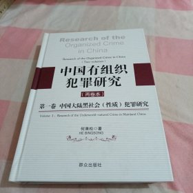 中国有组织犯罪研究.第一卷.中国大陆黑社会(性质)犯罪研究（精装）【内页干净】