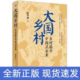 大国乡村：乡村蕴含中国式未来