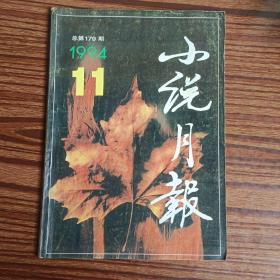 小说月报1994年第十一期