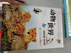 动物世界