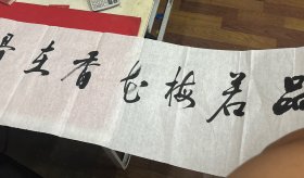 品若梅花香在骨