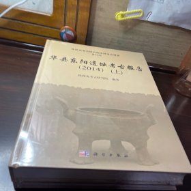 华县东阳遗址考古报告（2014）（上、下册）