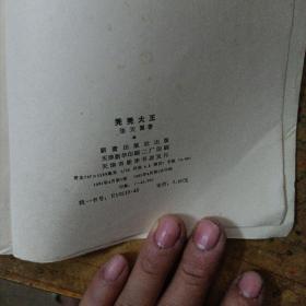 秃秃大王