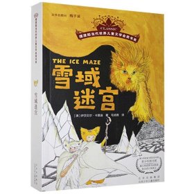 【正版新书】雪域迷宫塑封