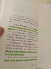 迟子建散文