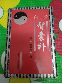 白话智囊补（精装本 全一册）